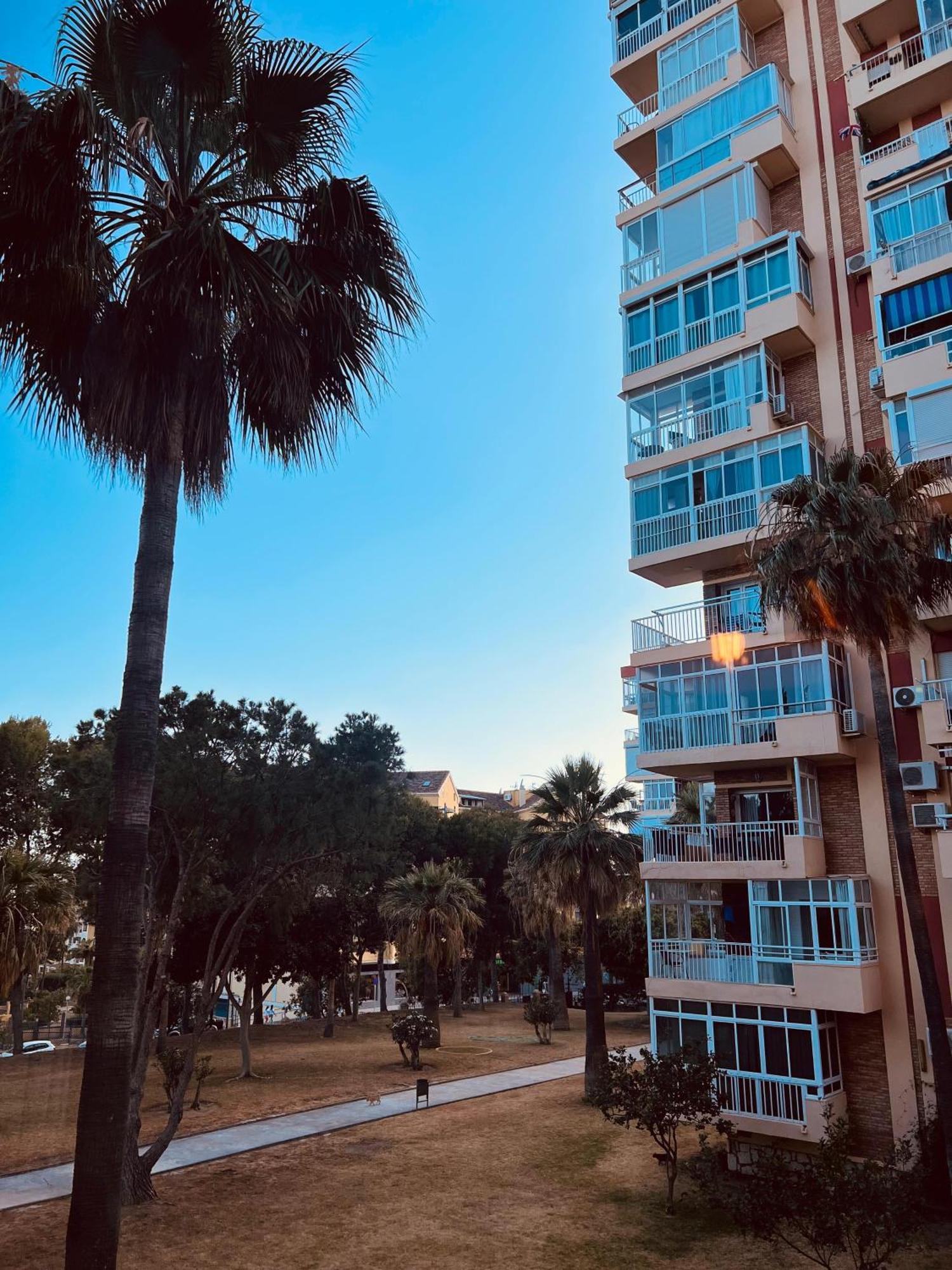 Hercules Nuevo Y Moderno Estudio Apartamento